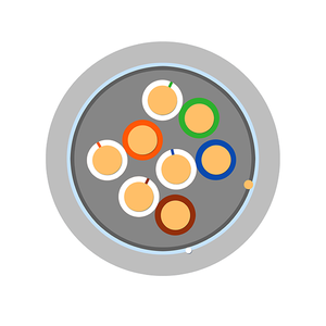 FTP CAT5e CCA Cable 24AWG 305m Caja para redes interiores con blindaje de lámina - Product Image 4