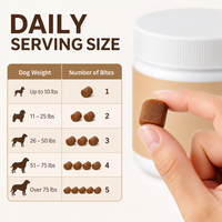 Complément Alimentaire pour Animaux OEM/ODM : L-Lysine en Poudre, Friandises à Mâcher Détoxifiantes pour Chiens – Élimination des Toxines, Soin de Bien-être et Vitalité