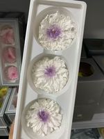 Fleurs éternelles en gros : Coffret cadeau Dahlia, fleurs préservées, prix usine, longue durée (3-5 ans), pour le Nouvel An et Noël