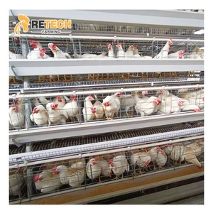 Bon prix élevage de poules pondeuses élevage de poules pondeuses cage en batterie poulailler galvanisé à chaud - Product Image 1