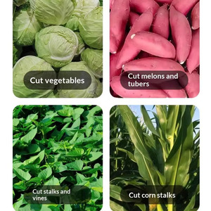 Broyeur d'aliments pour poulets <span class=keywords><strong>et</strong></span> chèvres en acier inoxydable, déchiqueteur d'herbe, hachoir à légumes - Product Image 2