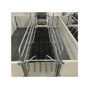 Caisse de mise bas cochon bon choix 2400X1800Mm élevage porcin équipement agricole personnalisation du fabricant du Vietnam - Product Image 5