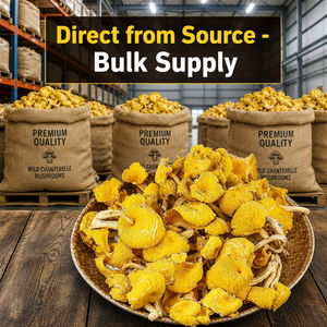 Chanterelles séchées jaunes de qualité supérieure |   Chanterelles déshydratées de qualité supérieure |   Yunnan sauvage biologique |   Vente en gros d'usine - Product Image 6