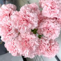 Fleurs de carnation en soie réalistes faites à la main de haute qualité, blanches et roses, pour la fête des mères, décoration de la maison, vase