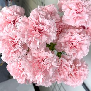 Fiori di Garofano in Seta Realistici di Alta Qualità, Bianchi e <span class=keywords><strong>Rosa</strong></span>, <span class=keywords><strong>per</strong></span> la Festa della Mamma, Decorazione Casa e Vaso - Product Image 2