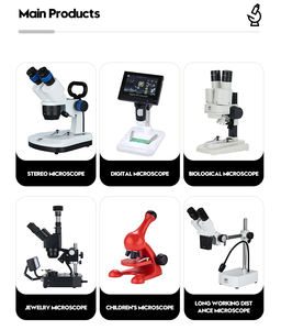Section de lame de microscope en verre OEM S30 en gros du stade précoce de la gastrula pour la recherche en laboratoire - Product Image 5