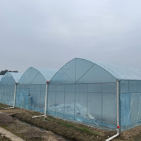 Serre agricole Bafangle à simple travée avec structure en acier et bâche, installation facile, conception tunnel vert pour jardins