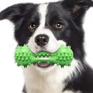 Nettoyage os chien dent meulage bâton chien morsure intelligent chien jouet brosse à dents
