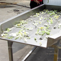 FT-1800 Gemüse-Vibrations-Entwässerungsmaschine für Pommes Frites und Kartoffelchips mit Entölfunktion