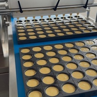 Machine de Cuisson Commerciale Automatique - Machine à Popcorn, Gâteaux et Biscuits Servo PLC pour Ligne de Macarons et Confiseries au Chocolat