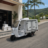 Tricycle réfrigéré direct d'usine chariot de nourriture tricycle de vente d'aliments froids de crème glacée mobile camion de nou
