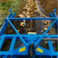 Mini Arracheuse de Pommes de Terre 3 Points Monorang pour Vente en Gros, Équipement Agricole Miniaturisé pour une Récolte Efficace