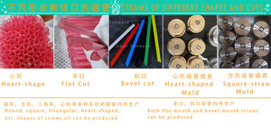 Machine d'extrudeuse de pailles à boire de riz jetables Fabricant d'équipement d'usine Ligne de machines d'extrusion de pailles de riz écologiques - Product Image 3