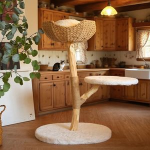 <span class=keywords><strong>Torre</strong></span> <span class=keywords><strong>per</strong></span> <span class=keywords><strong>Gatti</strong></span> in Legno Naturale con Piattaforme Accoglienti e Tiragraffi, Arredamento Premium in Legno <span class=keywords><strong>per</strong></span> <span class=keywords><strong>Gatti</strong></span> da Interno - Product Image 3