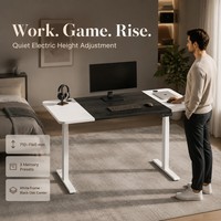 AOR Simple Avancé Maison Électrique Silencieux Ascenseur Bureau Debout Bureau Ordinateur Apprentissage Bureau Bureau Conseil Conception Usine Vente en Gros