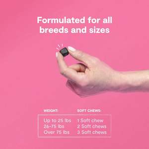 Complément alimentaire pour la peau et le pelage des chiens, marque privée OEM/ODM, avec collagène, biotine et vitamine C, contribue à maintenir une peau normale - Product Image 4