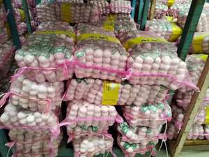 Poudre <span class=keywords><strong>d</strong></span>'<span class=keywords><strong>ail</strong></span> frais <span class=keywords><strong>Ail</strong></span> Ajo Alho Chine Fournisseurs <span class=keywords><strong>d</strong></span>'<span class=keywords><strong>ail</strong></span> <span class=keywords><strong>Afrique</strong></span> <span class=keywords><strong>du</strong></span> <span class=keywords><strong>Sud</strong></span> <span class=keywords><strong>Ail</strong></span> Légumes - Product Image 6