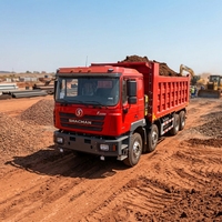 Самосвал SHACMAN F3000 8x4 Euro 2, дизельный, б/у, 371 л.с., термостойкий, для пустыни, для Ближнего Востока и тропической Африки