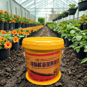 Чистый органический жидкий экстракт морских водорослей - Product Image 4