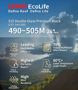 ロンジ エコライフ S10 LR7-54HJBB 490～505M ダブルガラス プレミアムブラック HPBC 商用・家庭用 単結晶 490W 500W ソーラーパネル - Product Image 2