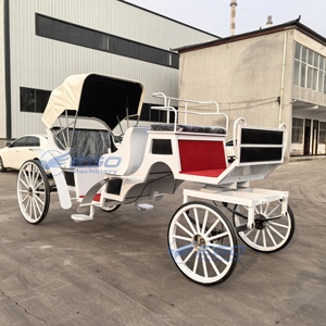 XCEGO Chariots de tourisme européens à chevaux, chariot de transport spécial du Henan - Product Image 5