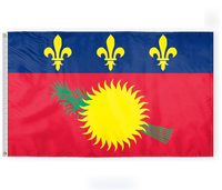 Drapeau de la Guadeloupe personnalisé en gros, imprimé sur une face, résistant à la décoloration, livré avec une poignée gauche et 2 œillets – Ventes flash
