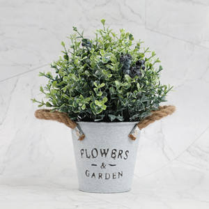 Plantes artificielles d'<span class=keywords><strong>eucalyptus</strong></span> en <span class=keywords><strong>pot</strong></span> miniature de 25 cm pour la décoration de table intérieure, <span class=keywords><strong>pot</strong></span> en pulpe, plastique, faux romarin vert - Product Image 6