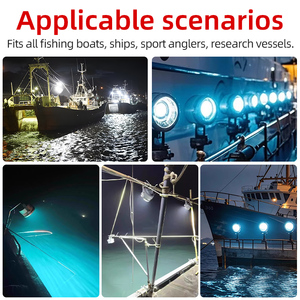 <span class=keywords><strong>Luz</strong></span> Led Sumergible de Alta Potencia 1000W para Pesca de Calamar IP65 para Barcos 12V 220V en Verde, Azul, <span class=keywords><strong>Blanco</strong></span>, Cian para Atraer Peces en Pesca Nocturna Marina de Aguas Profundas - Product Image 5