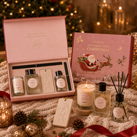 Coffret Cadeau de Parfum OEM Noël Pomme Cannelle Vanille 100ml pour Femme Eau de Parfum Fabricant Personnalisation Logo Étiquette et Boîte