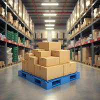 Palette en plastique, boîte palette en plastique pour le stockage en entrepôt, palettes en plastique de Chine