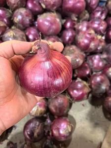 Rau xuất khẩu Trung Quốc tự nhiên tươi màu đỏ vàng hành tây bán buôn Vàng hành tây cebolla oignon - Product Image 4