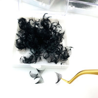 1000 Premade Fan C D CC DD Curl fait à la main coréen PBT Fiber Extensions de cils lâche Mega Volume 0.07mm-0.10mm ventilateur cheveux synthétiques