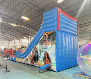 Trượt nước thương mại bơm hơi nhỏ trượt nước bơm hơi trượt <span class=keywords><strong>Titanic</strong></span> để bán - Product Image 3