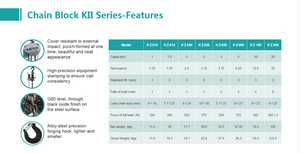 Ventes directes d'usine de haute qualité <span class=keywords><strong>Toyo</strong></span> 3M 1 2 3 5 <span class=keywords><strong>10</strong></span> 20 30 tonnes palan manuel à chaîne - Product Image 6