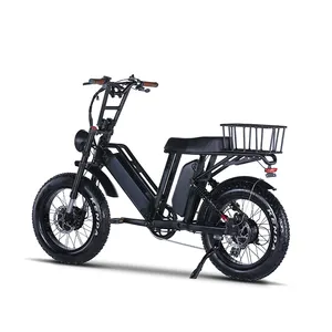 Popular USA Market 750 Watt Front And Rear Dual Motor Dual Battery Electric Bicycle Fat Tire Electric Bicycle Ready To Ship