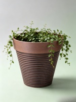 Pot Plastik Bergaris Cokelat Carol Brown Model Amerika, Pot Hias Ukiran Tangan, Pot Bunga Indoor/Outdoor untuk Taman dan Rumah