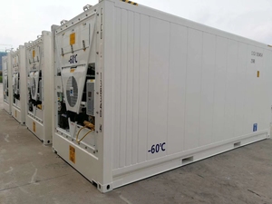 ตู้แช่แข็งแบบพิเศษ อุณหภูมิต่ำมาก -60 องศา ° ตู้คอนเทนเนอร์แช่เย็นแบบควบคุมอุณหภูมิ C สำหรับขนส่งทางทะเล - Product Image 5