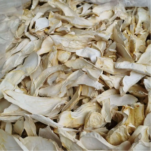 Type de traitement assaisonné séché cru de source cultivée par modèle entier de <span class=keywords><strong>Pleurotus</strong></span> <span class=keywords><strong>Eryngii</strong></span> en boîte - Product Image 2