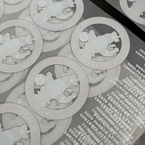 Trasferimento DTF Pronto per la Pressatura a Caldo, Adesivo per Magliette e Felpe, Etichetta Termoadesiva Personalizzata con Logo in Plastisol - Product Image 3