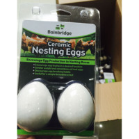 Oeuf de volaille pour poulet nid formation poules pondeuses pratique en plastique oeufs élevage d'oiseaux