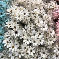 Fleurs séchées en gros 2026 : Nouveauté écologique pour la décoration de mariages, remises de diplômes, Pâques, Noël, la Saint-Valentin (OEM/ODM)