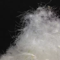 Duvet d'oie blanche