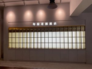 Éclairage LED encastré minimaliste en acier inoxydable pour vitrine de salon, rangement de livres et de décorations - Product Image 1