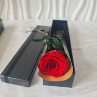 Boîte de roses éternelles carrées - Cadeau de fleurs éternelles réelles pour la fête des mères et la remise des diplômes