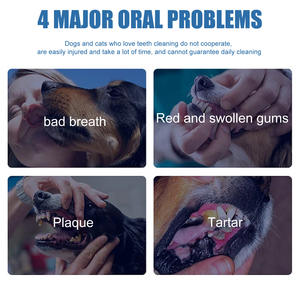 Spray buccal naturel et sûr en gros pour chats et chiens, éliminateur d'odeurs, nettoyant pour les taches et le <span class=keywords><strong>tartre</strong></span>, spray dentaire - Product Image 6