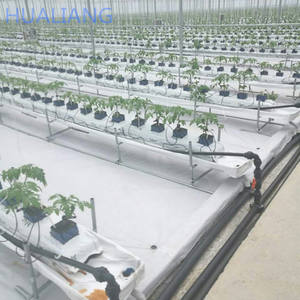 Steinwolle hydrokultur kindergarten gewächshaus kommerziellen hydrokultur pvc rohr systeme - Product Image 5