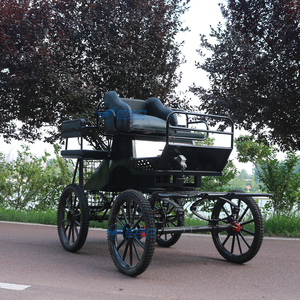 Carruaje para Caballos en Oferta, Transporte Especial para Carruajes de Maratón/Carruaje de Maratón Encantador, Precio de Fábrica - Product Image 3