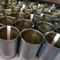 Boîtes en fer blanc en métal imprimé en gros avec couvercle triple étanche. Boîte de conserve pour fabricant d'emballage alimentaire