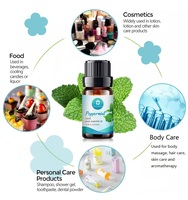 Usine en gros en vrac échantillon gratuit soins des cheveux huile essentielle de menthe poivrée marque privée huile de menthe poivrée naturelle pure pour souris rats
