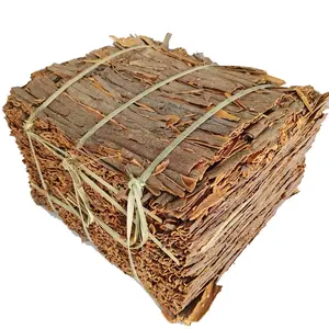 Premium Wholesale Organic Pressed Cassia Bulk Dried Cassia Whole Place of Origin Chinese Cassia Cinnamon